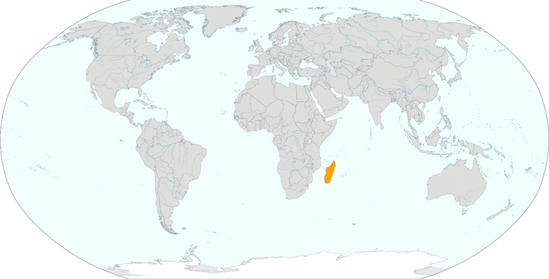 Файл:Мадагаскар (локатор).png