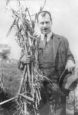 Николай Вавилов — выдающийся биолог, собрал крупнейшую в мире коллекцию семян культурных растений, создал систему селекционных станций и институтов в СССР