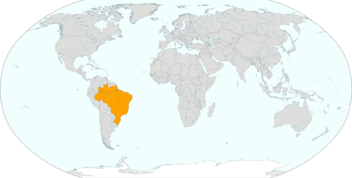 Бразилия (локатор).png