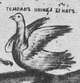 Птица гамаюн — легендарная райская птица на гербе области